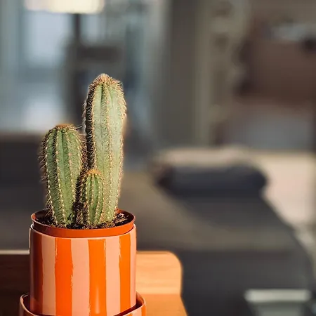 Sunny House Of Aries - Quiet & Central, Free Parking *