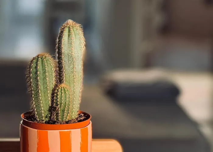 Sunny House Of Aries - Quiet & Central, Free Parking *